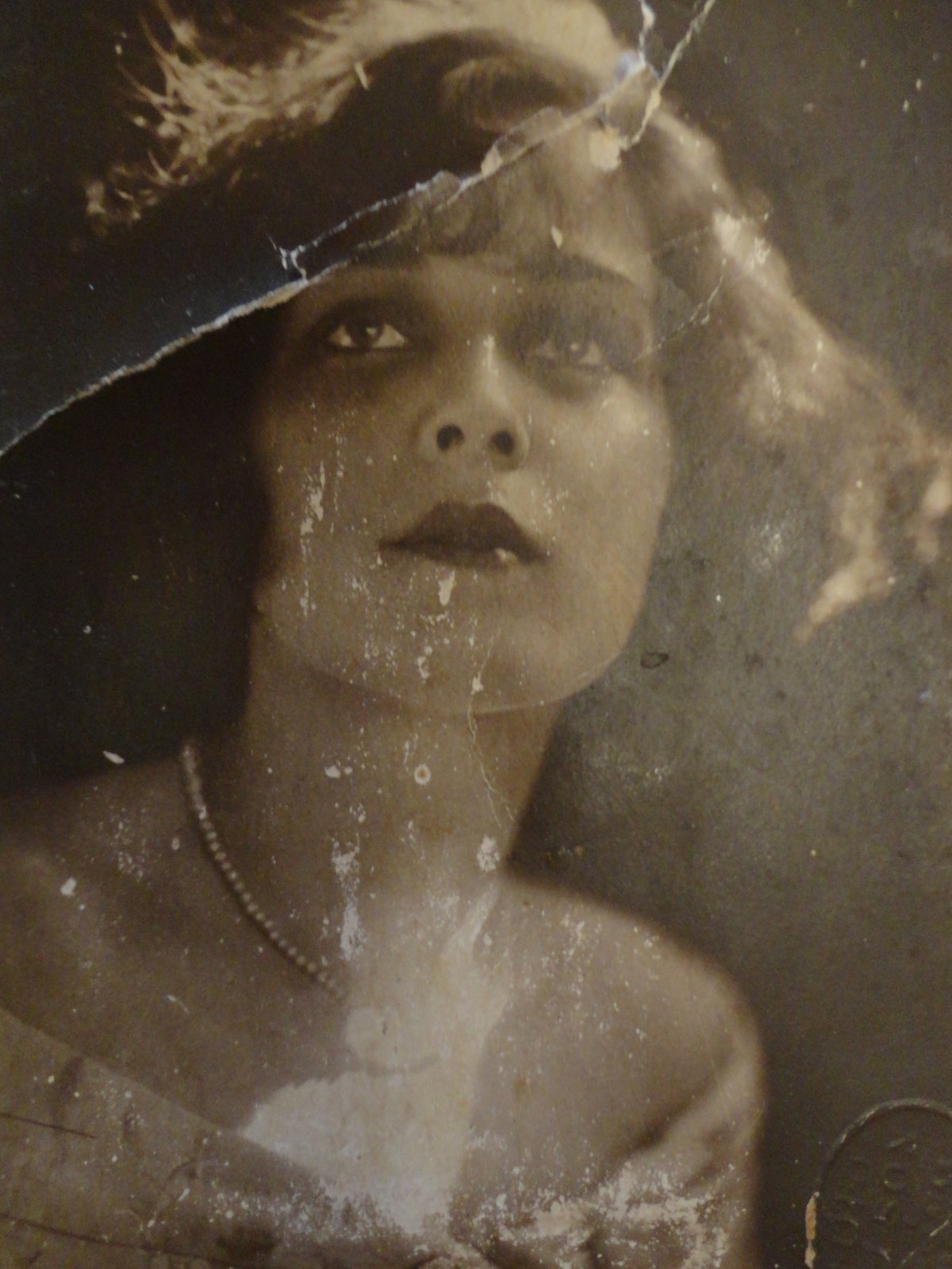 How Old Is Shalltear Bloodfallen in Classroom of the Elite